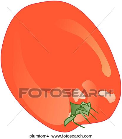 Stock Illustration - Plum Tomatoes-One. Fotosearch