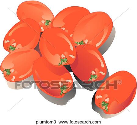Drawing - Plum Tomatoes-Shadows. Fotosearch