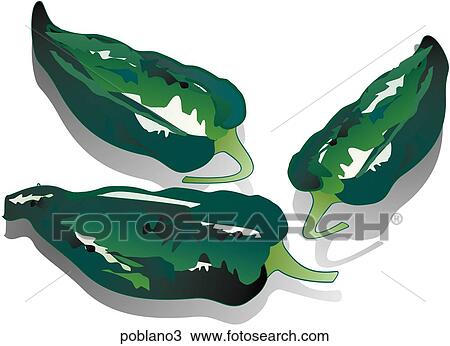 Poblano Peppers-Shadows View Large Illustration Drawing - Poblano Peppers-Shadows. Fotosearch