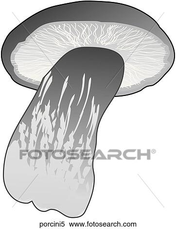 Stock Illustration - Porcini Mushrooms-One B&W. Fotosearch