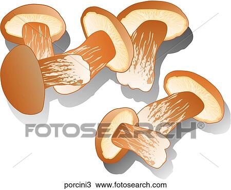 Porcini Mushrooms-Shadows View Large Illustration Drawing - Porcini Mushrooms-Shadows. Fotosearch