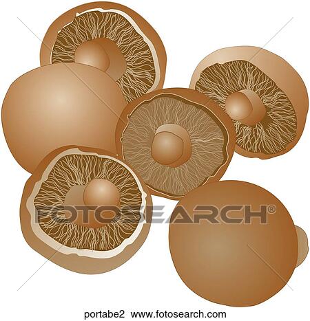 Portabella Mushrooms View Large Illustration Drawing - Portabella Mushrooms. Fotosearch