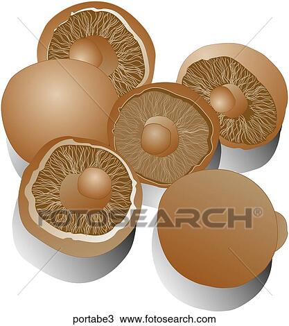 Portabella Mushrooms-Shadows View Large Illustration Drawing - Portabella Mushrooms-Shadows. Fotosearch