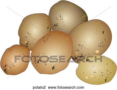 Potatoes View Large Illustration Drawing - Potatoes. Fotosearch