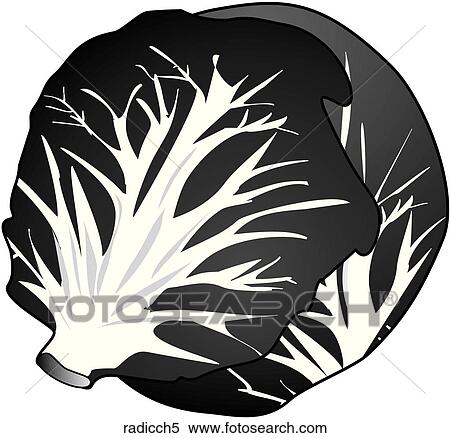 Stock Illustration - Radicchio-One B&W. Fotosearch