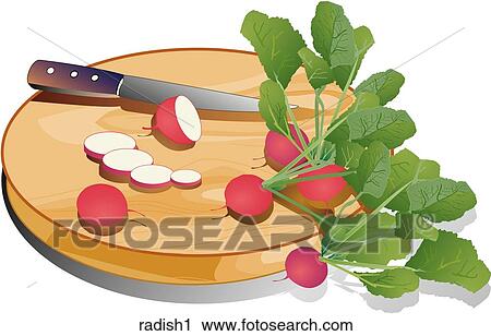 Radishes-Composition View Large Illustration Clip Art - Radishes-Composition. Fotosearch