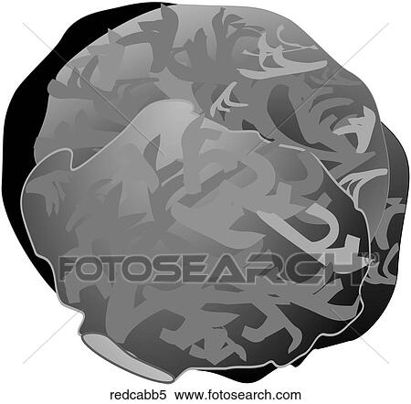 Red Cabbage-One B&W View Large Illustration Stock Illustration - Red Cabbage-One B&W. Fotosearch