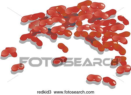 Red Kidney Beans-Shadows View Large Illustration Drawing - Red Kidney Beans-Shadows. Fotosearch