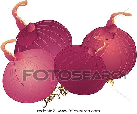 Red Onions View Large Illustration Drawing - Red Onions. Fotosearch