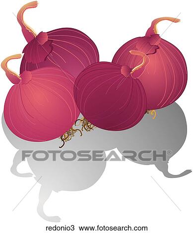 Red Onions-Shadows View Large Illustration Drawing - Red Onions-Shadows. Fotosearch