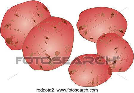 Red Potatoes View Large Illustration Drawing - Red Potatoes. Fotosearch