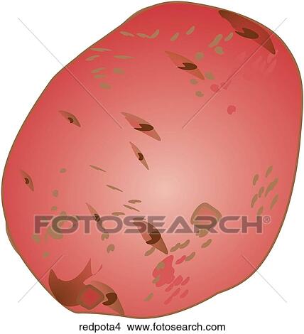 Red Potatoes-One View Large Illustration Stock Illustration - Red Potatoes-One. Fotosearch