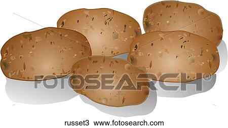 Drawing - Russet Potatoes-Shadows. Fotosearch