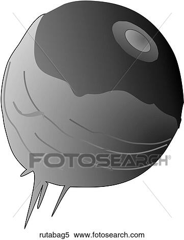 Rutabagas-One B&W View Large Illustration Stock Illustration - Rutabagas-One B&W. Fotosearch