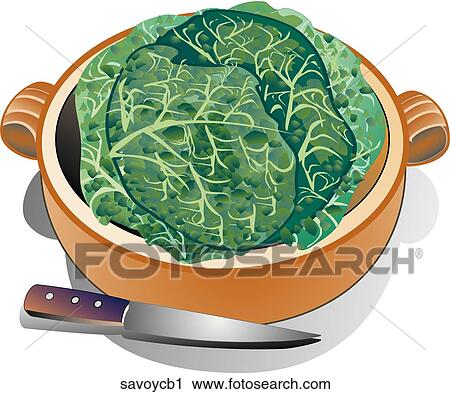 Clip Art - Savoy Cabbage-Composition. Fotosearch