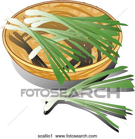 Scallions-Composition View Large Illustration Clip Art - Scallions-Composition. Fotosearch