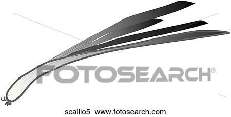 Stock Illustration - Scallions-One B&W. Fotosearch