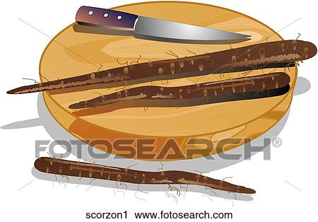 Scorzonera-Composition View Large Illustration Clip Art - Scorzonera-Composition. Fotosearch