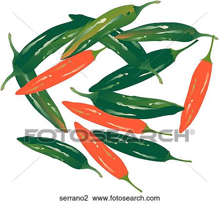 Drawing - Serrano Peppers. Fotosearch
