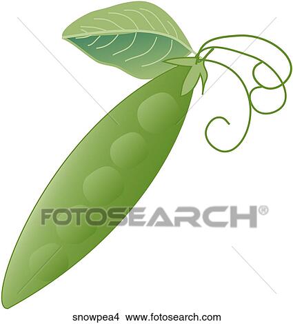 Stock Illustration - Snow Peas-One. Fotosearch
