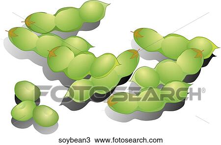 Soybeans-Shadows View Large Illustration Drawing - Soybeans-Shadows. Fotosearch