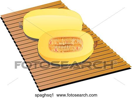 Clip Art - Spaghetti Squash-Composition. Fotosearch