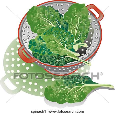 Spinach-Composition View Large Illustration Clip Art - Spinach-Composition. Fotosearch