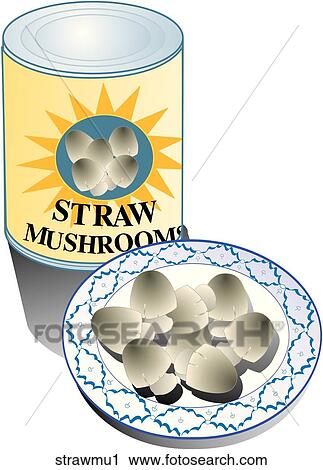 Straw Mushrooms-Composition View Large Illustration Clip Art - Straw Mushrooms-Composition. Fotosearch