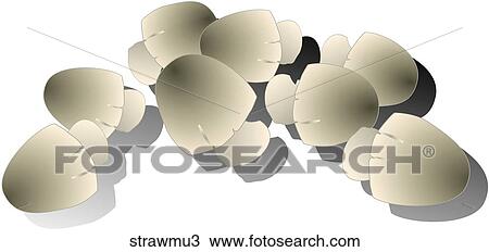 Straw Mushrooms-Shadows View Large Illustration Drawing - Straw Mushrooms-Shadows. Fotosearch