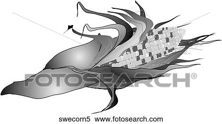 Sweet Corn-One B&W View Large Illustration Stock Illustration - Sweet Corn-One B&W. Fotosearch