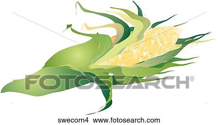 Stock Illustration - Sweet Corn-One. Fotosearch