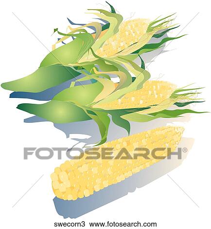 Drawing - Sweet Corn-Shadows. Fotosearch