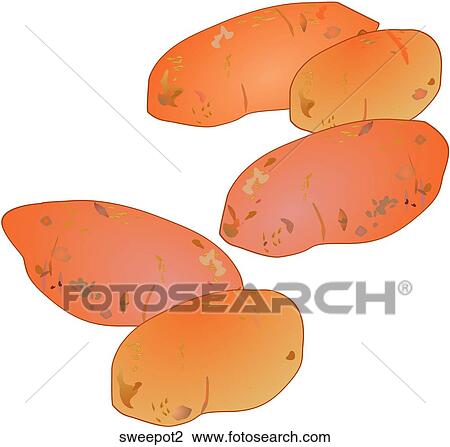 Sweet Potatoes Drawing | sweepot2 | Fotosearch