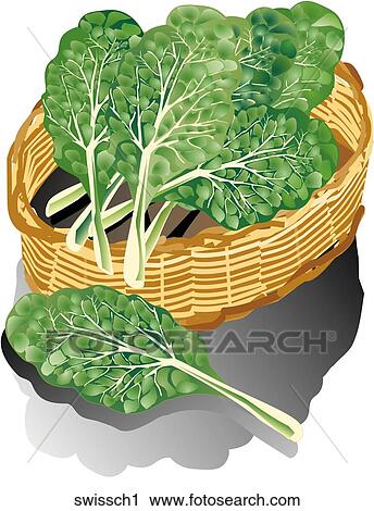 Clip Art - Swiss Chard-Composition. Fotosearch