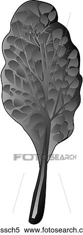Stock Illustration - Swiss Chard-One B&W. Fotosearch