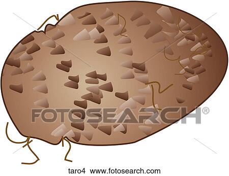 Taro-One View Large Illustration Stock Illustration - Taro-One. Fotosearch