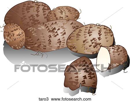 Taro-Shadows View Large Illustration Drawing - Taro-Shadows. Fotosearch