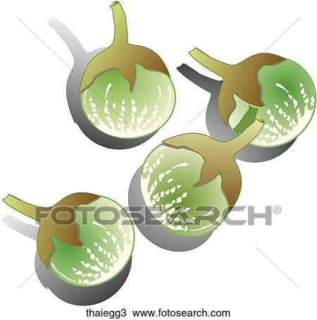 Drawing - Thai Eggplant-Shadows. Fotosearch