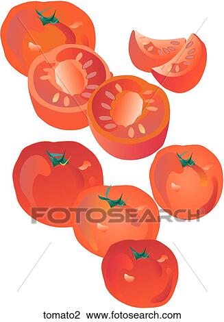 Tomatoes View Large Illustration Drawing - Tomatoes. Fotosearch