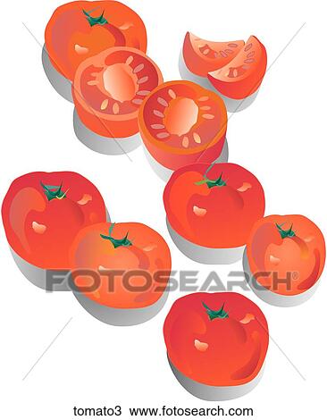Tomatoes-Shadows View Large Illustration Drawing - Tomatoes-Shadows. Fotosearch