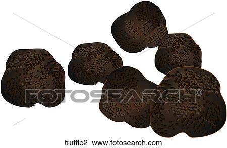 Truffles View Large Illustration Drawing - Truffles. Fotosearch