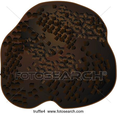 Truffles-One View Large Illustration Stock Illustration - Truffles-One. Fotosearch