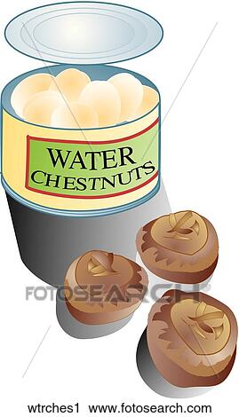 Water Chestnuts-Composition View Large Illustration Clip Art - Water Chestnuts-Composition. Fotosearch