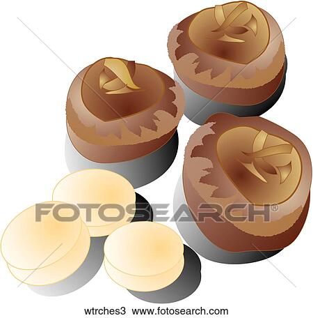 Drawing - Water Chestnuts-Shadows. Fotosearch