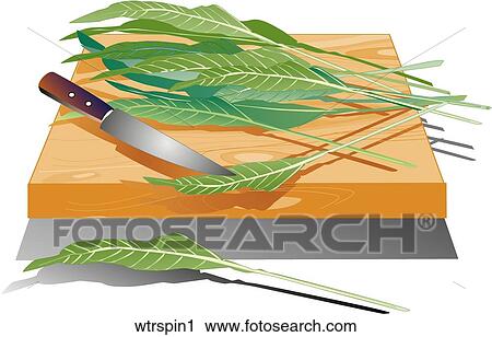 Clip Art - Water Spinach-Composition. Fotosearch