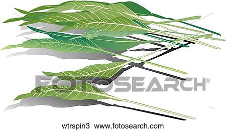 Drawing - Water Spinach-Shadows. Fotosearch