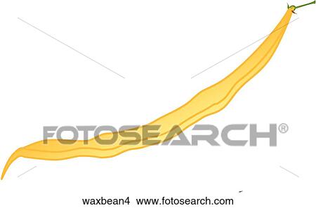Stock Illustration - Wax Beans-One. Fotosearch