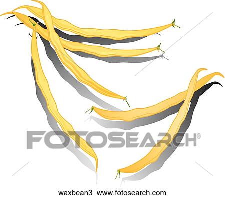 Drawing - Wax Beans-Shadows. Fotosearch