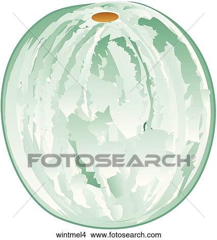 Winter Melon-One View Large Illustration Stock Illustration - Winter Melon-One. Fotosearch