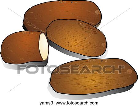 Yams-Shadows View Large Illustration Drawing - Yams-Shadows. Fotosearch
